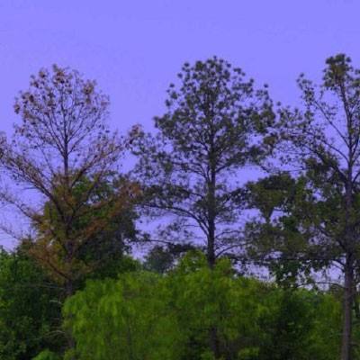 注册就送38的平台